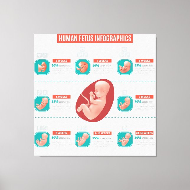 Lienzo Infografía del Feto Humano (Anverso)