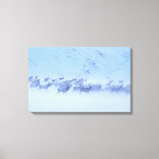 Lienzo Inglaterra (Anverso)