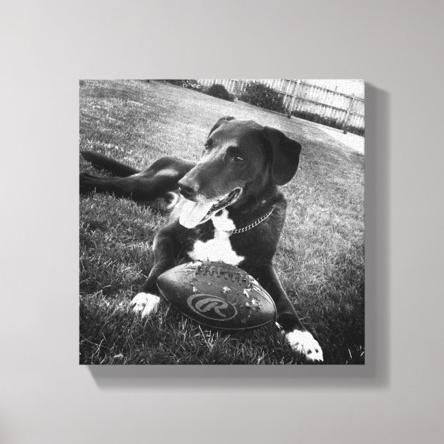 Lienzo inmoralidad (Anverso)