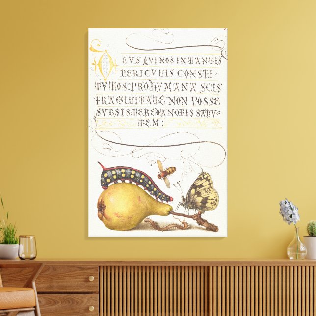 Lienzo Insectos de jardín, Mosca, Oruga, Pera, Ciempiés (Insitu (Sala de estar))
