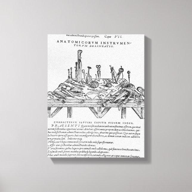 Lienzo Instrumentos para disecciones, ilustracion de 'De' (Anverso)