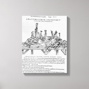 Lienzo Instrumentos para las disecciones, ilustracion del