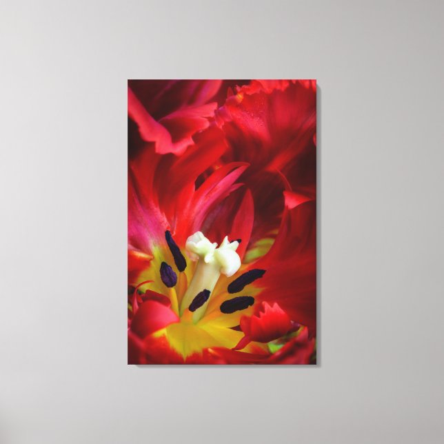 Lienzo Interior de la flor de tulipán loro (Anverso)