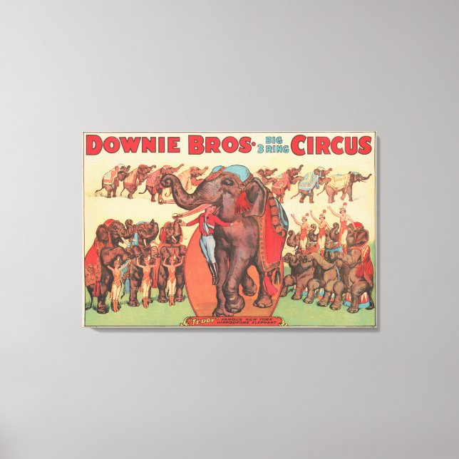 Lienzo Interpretando Elefantes Con Mujeres Y Entrenadores (Anverso)