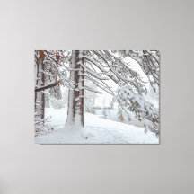 Invierno Blanco