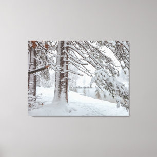 Lienzo Invierno Blanco