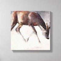 Invierno de Roe Buck 2000