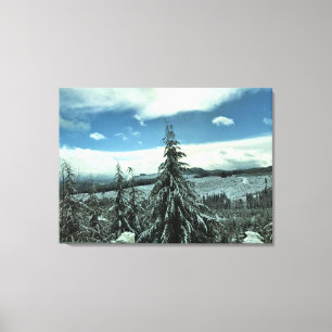Lienzo Invierno en el bosque estatal de Tillamook, Oregón