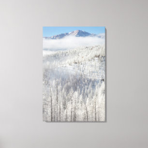 Lienzo Invierno en el bosque nacional de Pike