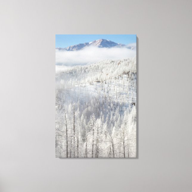 Lienzo Invierno en el Bosque Nacional Pike (Anverso)