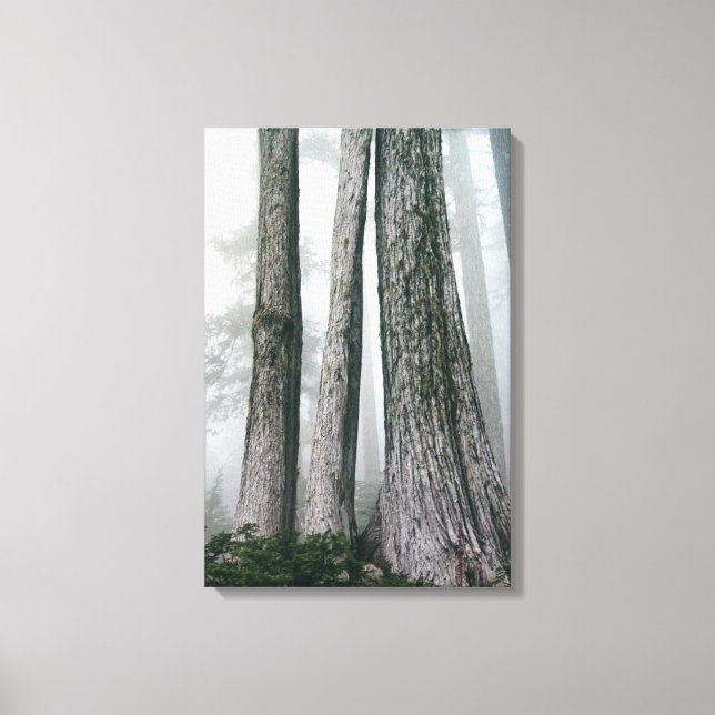 Lienzo Invocar el bosque (Anverso)