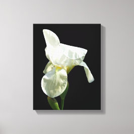 Lienzo Iris Canvas Print