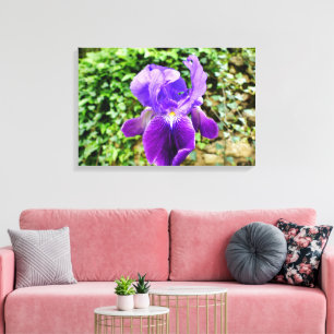 Lienzo Iris con barba