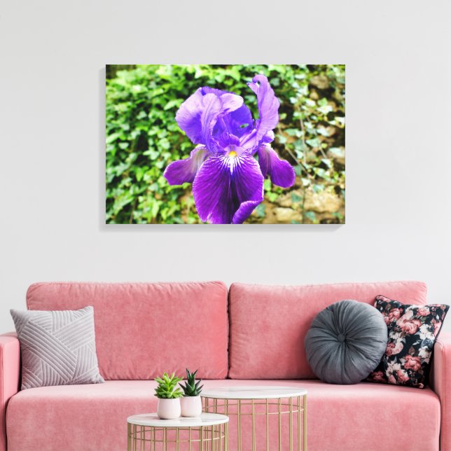 Lienzo Iris con barba (Insitu (Sala de estar))