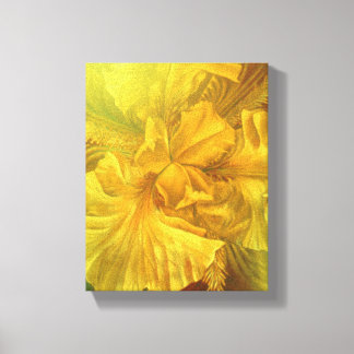 Lienzo Iris de bandera belleza interior pintura amarilla