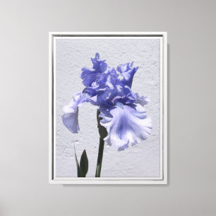 Lienzo Iris en flor