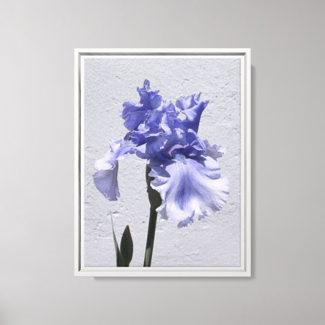 Lienzo Iris en flor (Anverso)