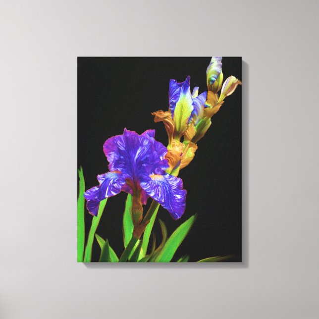 Lienzo Iris en suave negro (Anverso)