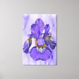 Lienzo Iris Japonés - Nacido Del Púrpura