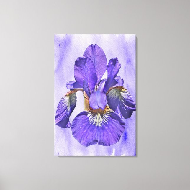 Lienzo Iris Japonés - Nacido Del Púrpura (Anverso)