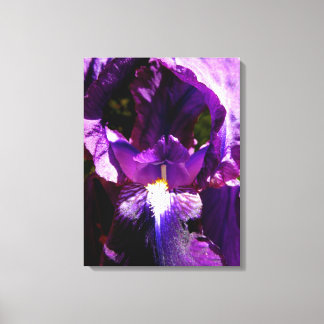 Lienzo Iris morado