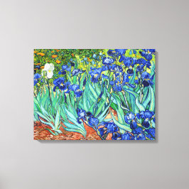 Lienzo Irises De Vincent Van Gogh
