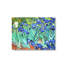 Irises De Vincent Van Gogh