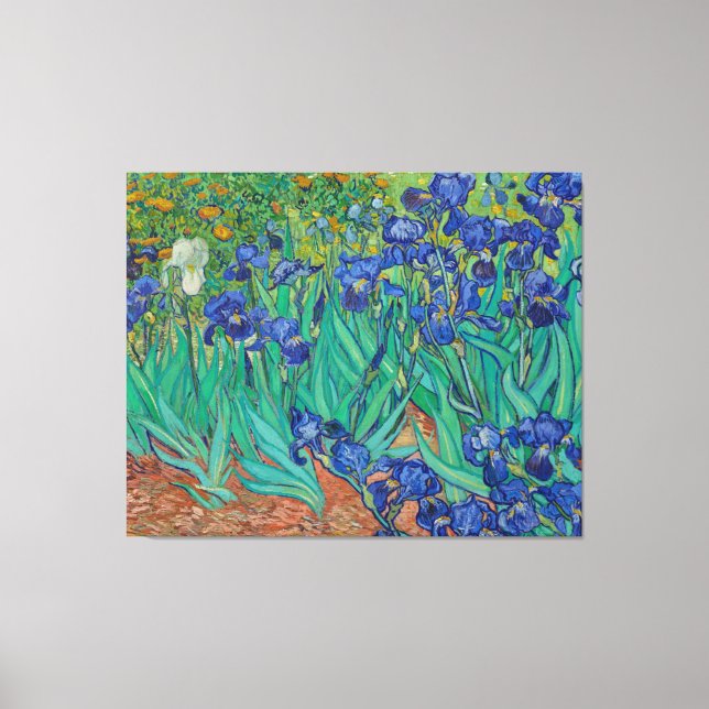 Lienzo Irises de Vincent Van Gogh (Anverso)
