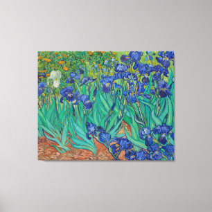 Lienzo Irises de Vincent Van Gogh