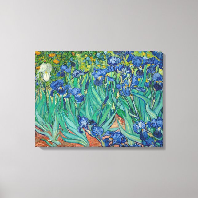 Lienzo Irises de Vincent van Gogh (Anverso)