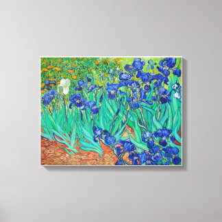 Lienzo Irises de Vincent Van Gogh (1889).