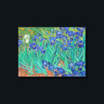 Lienzo Irises Vincent van Gogh<br><div class="desc">Irises Vincent van Gogh</div>