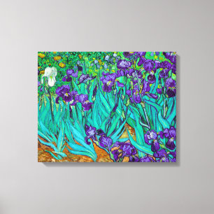 Lienzo Irises, Vincent van Gogh