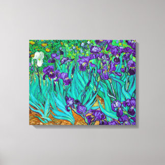 Lienzo Irises, Vincent van Gogh