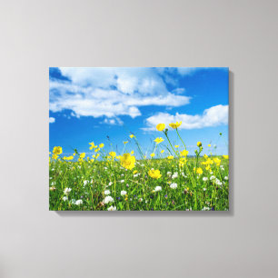 Lienzo isla de Sudamérica Escocia