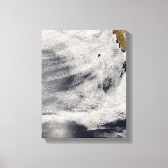 Lienzo Isla Guadalupe (Anverso)