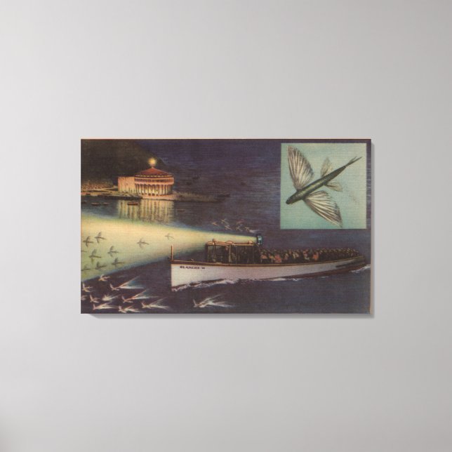 Lienzo Isla Santa Catalina, Casino CA, Pescado Volador (Anverso)