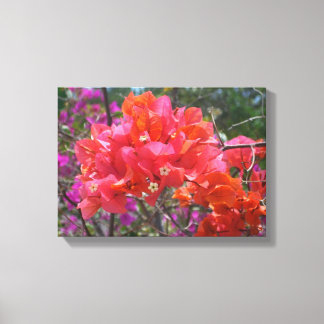 Lienzo Isla Tropical Rosa Bougainvillea Floral