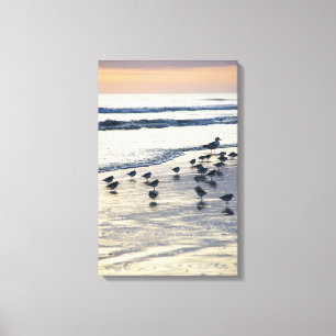 Lienzo Isla Tybee - Morning Chill