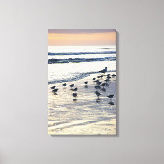 Lienzo Isla Tybee - Morning Chill