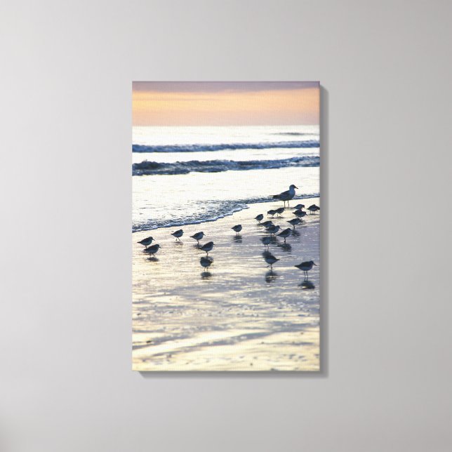 Lienzo Isla Tybee - Morning Chill (Anverso)