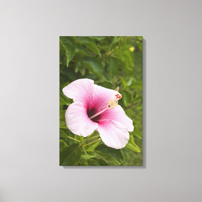 Lienzo Islas Cook, Atiu. Flor de hibisco. (Anverso)