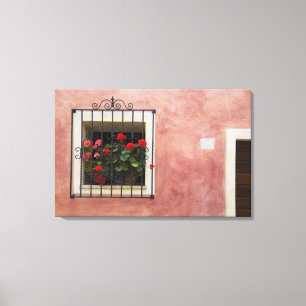Lienzo Italia, Asciano, cajas de ventana con primavera fr