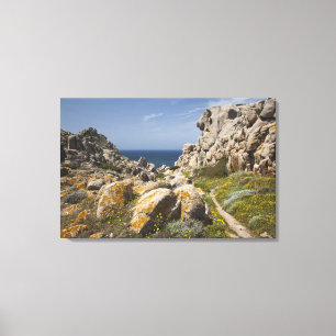 Lienzo Italia, Cerdeña, Santa Teresa Gallura. Capo 2