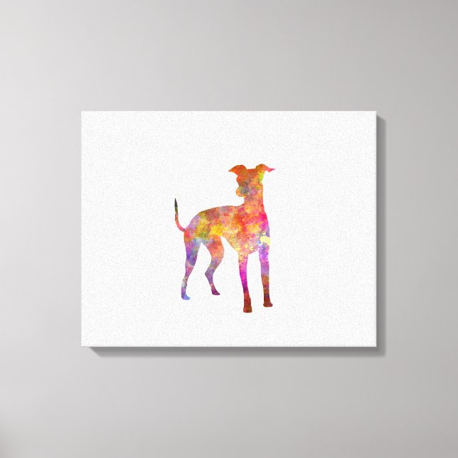 Lienzo Italian Greyhound in watercolor (Anverso)