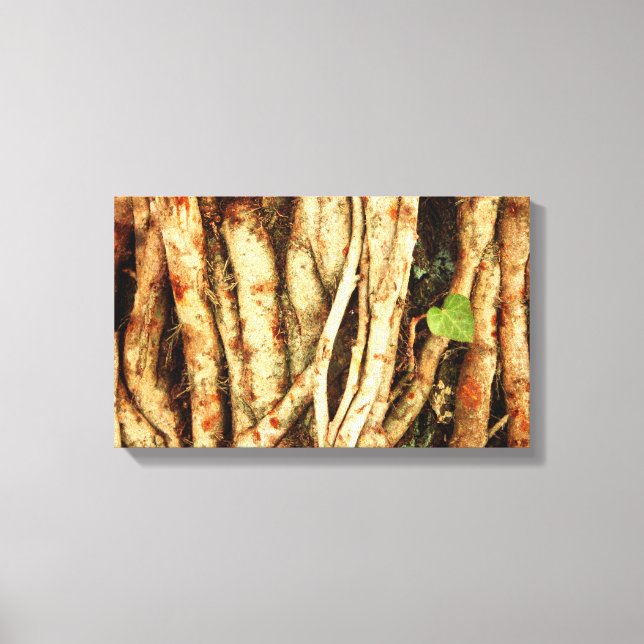 Lienzo Ivy On Oak (Anverso)