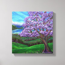 Jacaranda de Upcountry