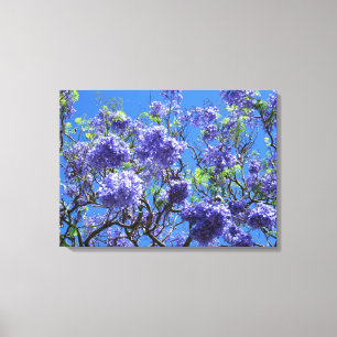 Lienzo Jacaranda Tree