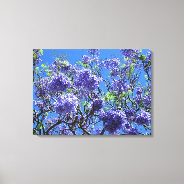 Lienzo Jacaranda Tree (Anverso)