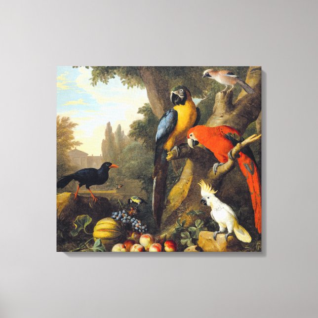 Lienzo Jakob bogdani Two Macaws a Cockatoo a Red-billed (Anverso)